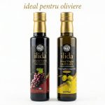 Set  Ulei de masline si otet balsamic Ilida 500ml
